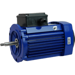Image of the Pump Motor